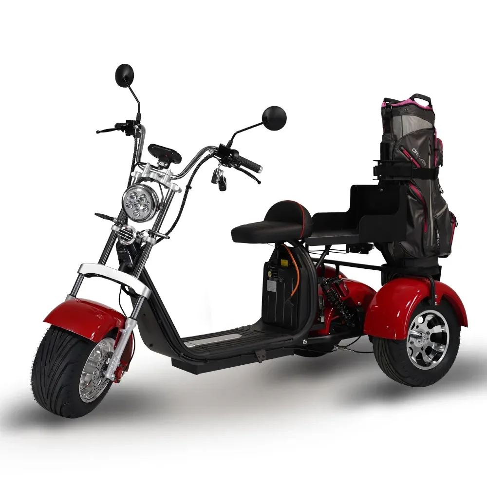 ZAIQU  australia market New Design Customized Luxury Styles 2 Seats Mini Rider Electric Golf Carts Street Legal Vehicle tricycle