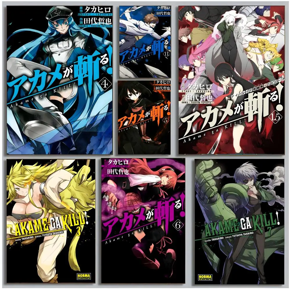 Violent Anime A-Akame ga KILL Poster Modern Wall Art Bedroom Living Room Print Unframed
