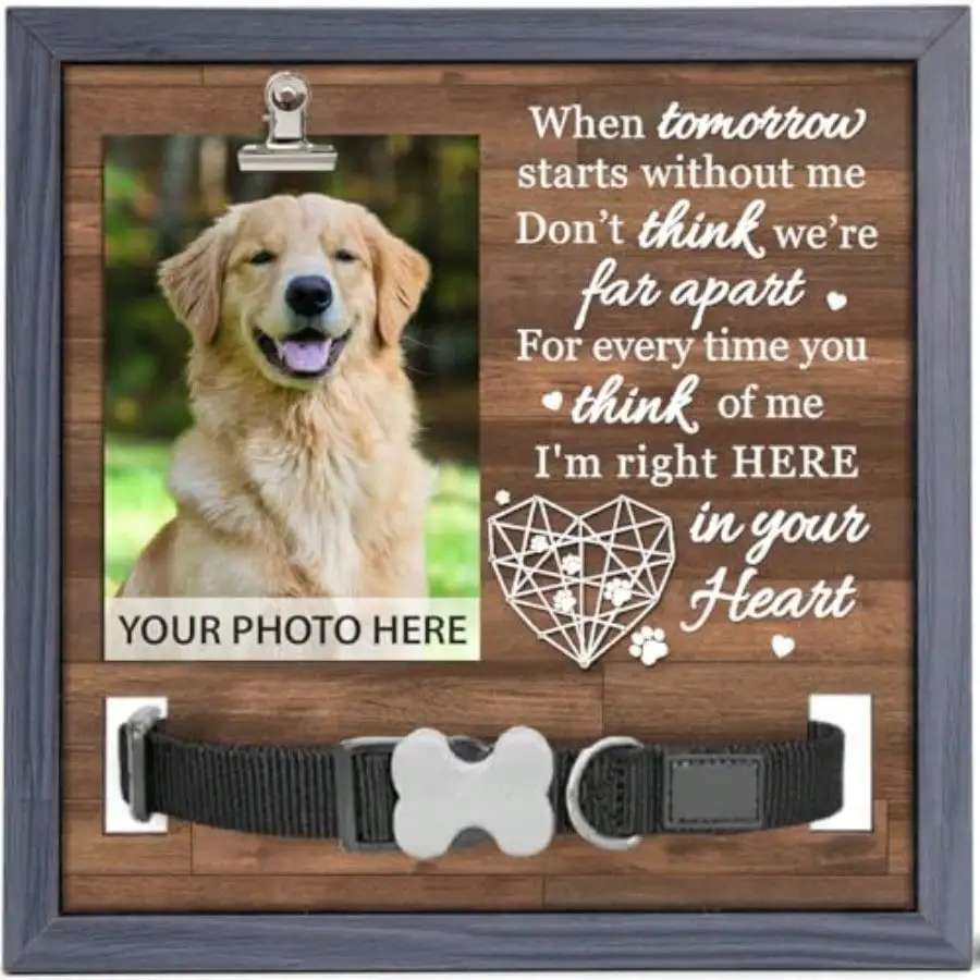 

With Collar Holder Dog Memorial Gifts For Loss Of Dog 9x9 IN Pet Loss Sign When Tomorrow Starts Without Me Pet