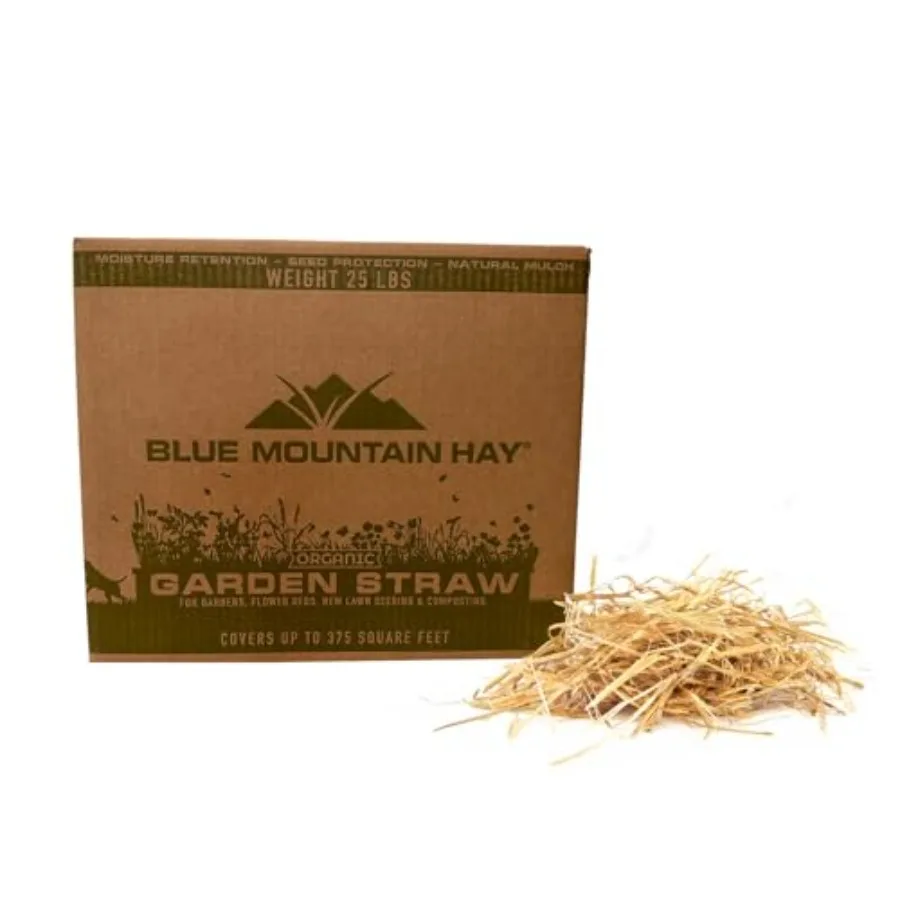 Blue Mountain Hay Organic Garden Straw 25 lb - Natural Mulch for Gardening, Flower Beds and Landscaping, New Lawn Grass Seeding