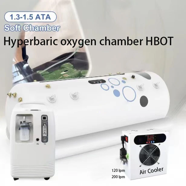 Applicable to 120lpm Mini Electronic Semiconductor Peltier air Dryer Refrigerant air Cooler for Hyperbaric Oxygen Chamber HBOT O