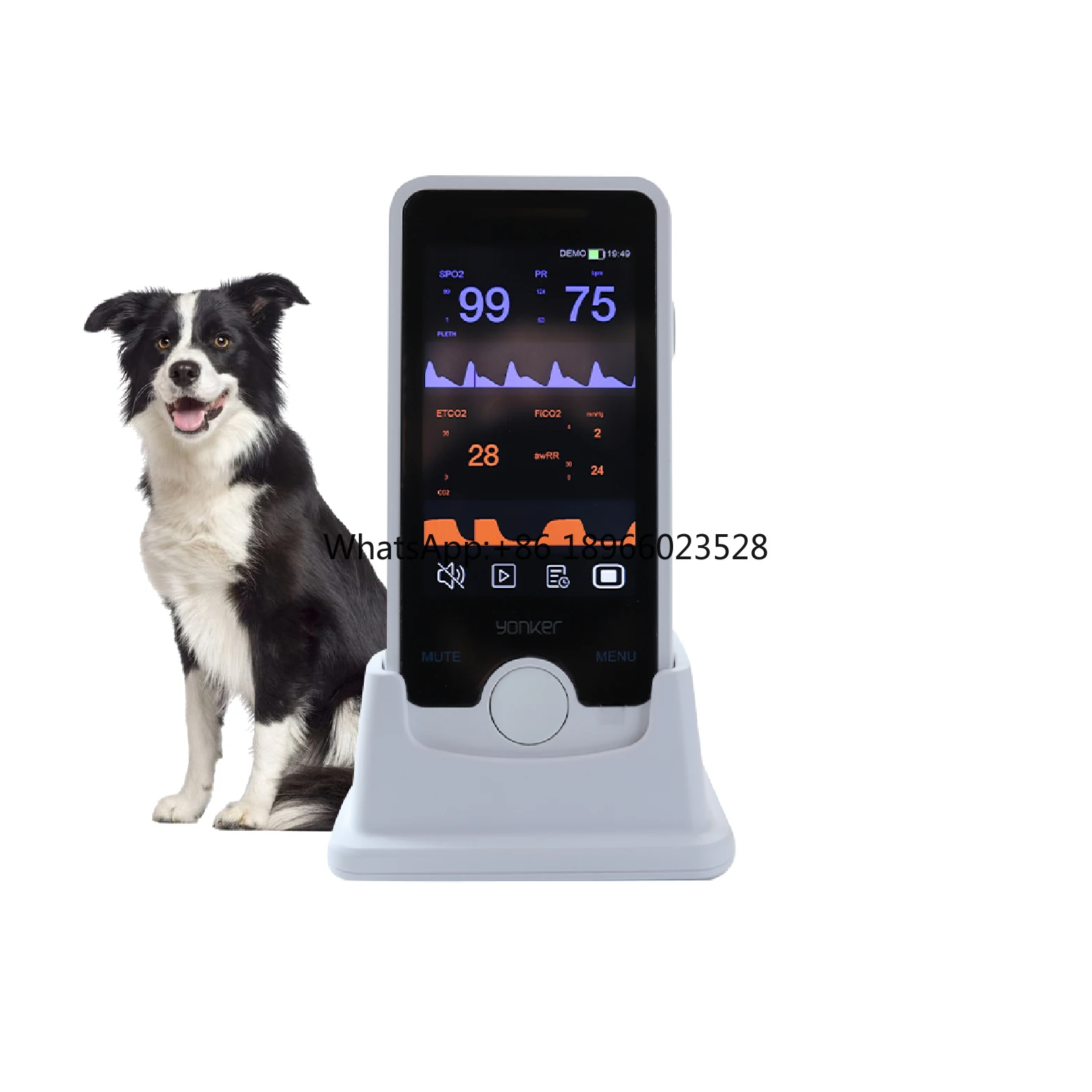 Veterinary Hospital Portable Animal Veterinary Use Blood Oxygen Rechargeable Handheld Pulse Oximeter