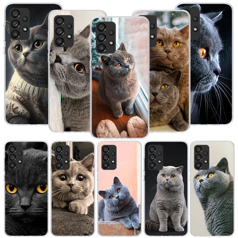 Funda de teléfono de gato corto británico para Samsung Galaxy, A14, A15, A13, A12, A54, A55, A53, A52, A04S, A24, A25, A23, A22, A34, A35, A33, A32, A03S, A0