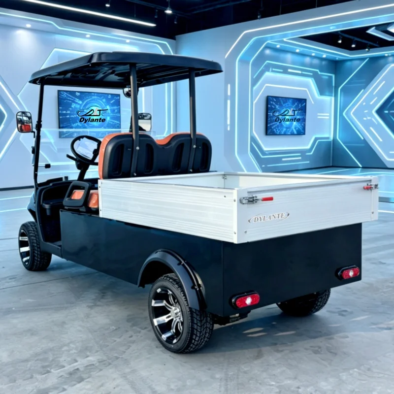 Factory Direct Sale Electric Golf Cart Solar 60V 2 Seats 5KW Motor High Performance Outdoor Off-Road Hunting Vehicle