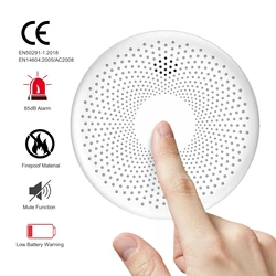 Stand-alone composite smoke + CO alarm 10 years battery Safety inductive smoke detector Composite detector smoke alarm sensor