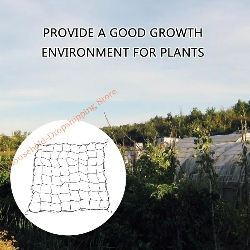 85ad Trellis Net pour tente croissance