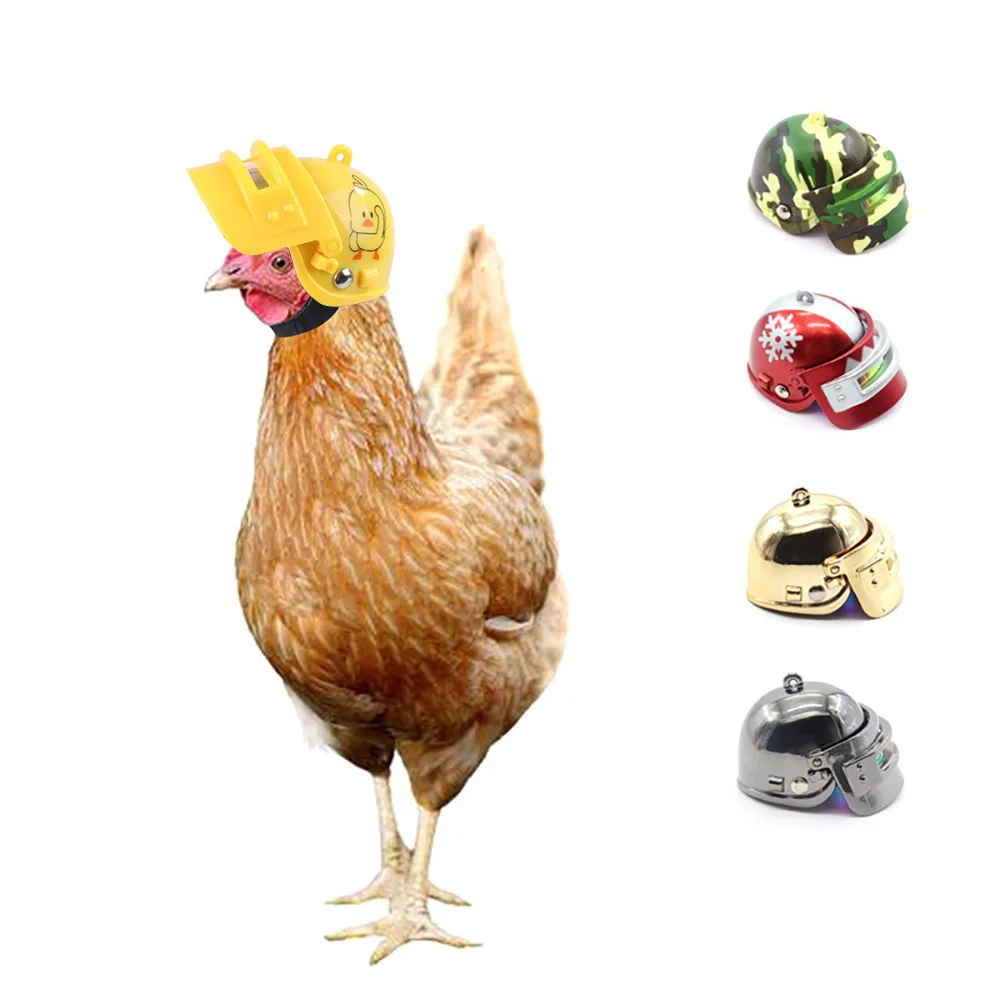 

Creative Chicken Helmet Protection Chicken Accessories Hen Hat Bird Hat Pet Supplies Chickens Pet Products