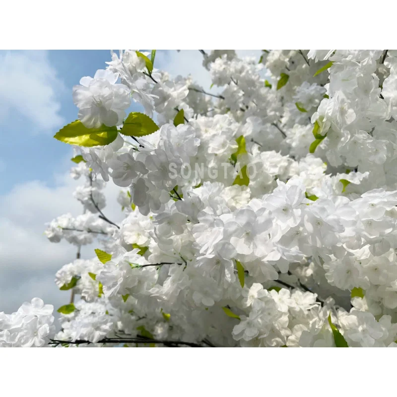 Рисунок 5 - Под заказ, высокое качество