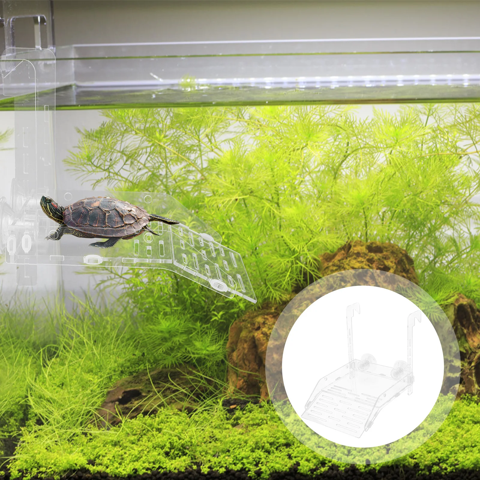 

1Set Turtle Basking Platform Acrylic Resting Terrace Suction Cup Adjustable Turtle Tank Accessory Climbing Ramp Aquarium Decor