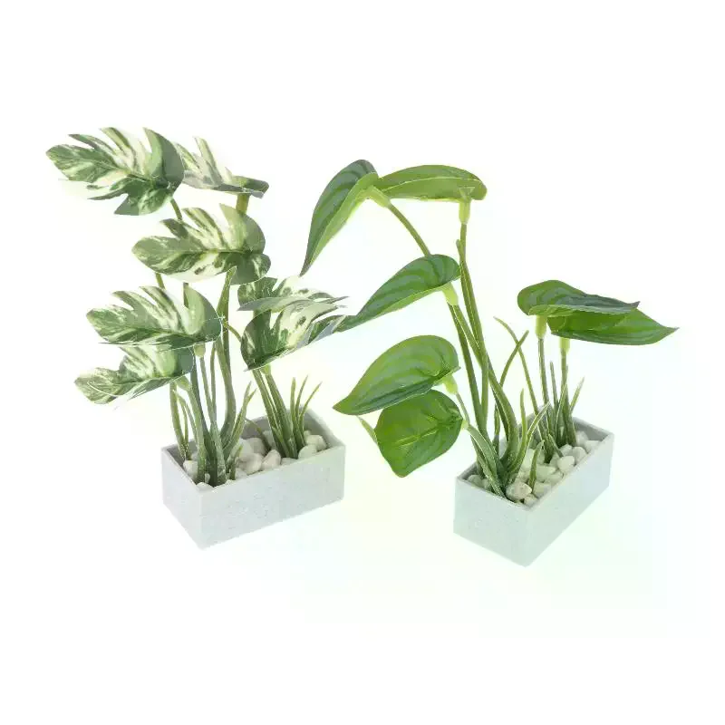 Miniature Turtle Back Bamboo Potted Plant Ornament Dollhouse Greenery Model Dollhouse Mini Garden Scene Decor Micro Photo Props
