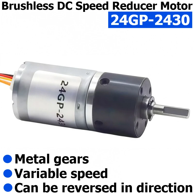 24-2430 Brushless Direct Drive Planetary Gear Reducer Motor, 12V/24V Reversible Switching, Adjustable-speed Motor