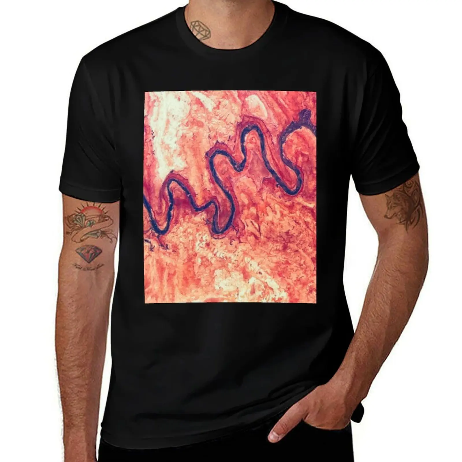 San Juan River Tributary Utah Aerial Landscape T-Shirt Halloween Casual T-Shirt