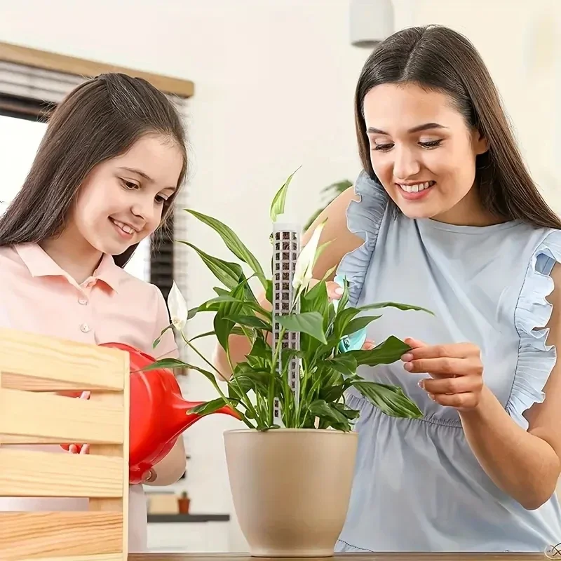 Plant Climbing Frame Extendable Plant Moss Poles 2 Sizes for Indoor Plants Climbing Support Easy Shaping