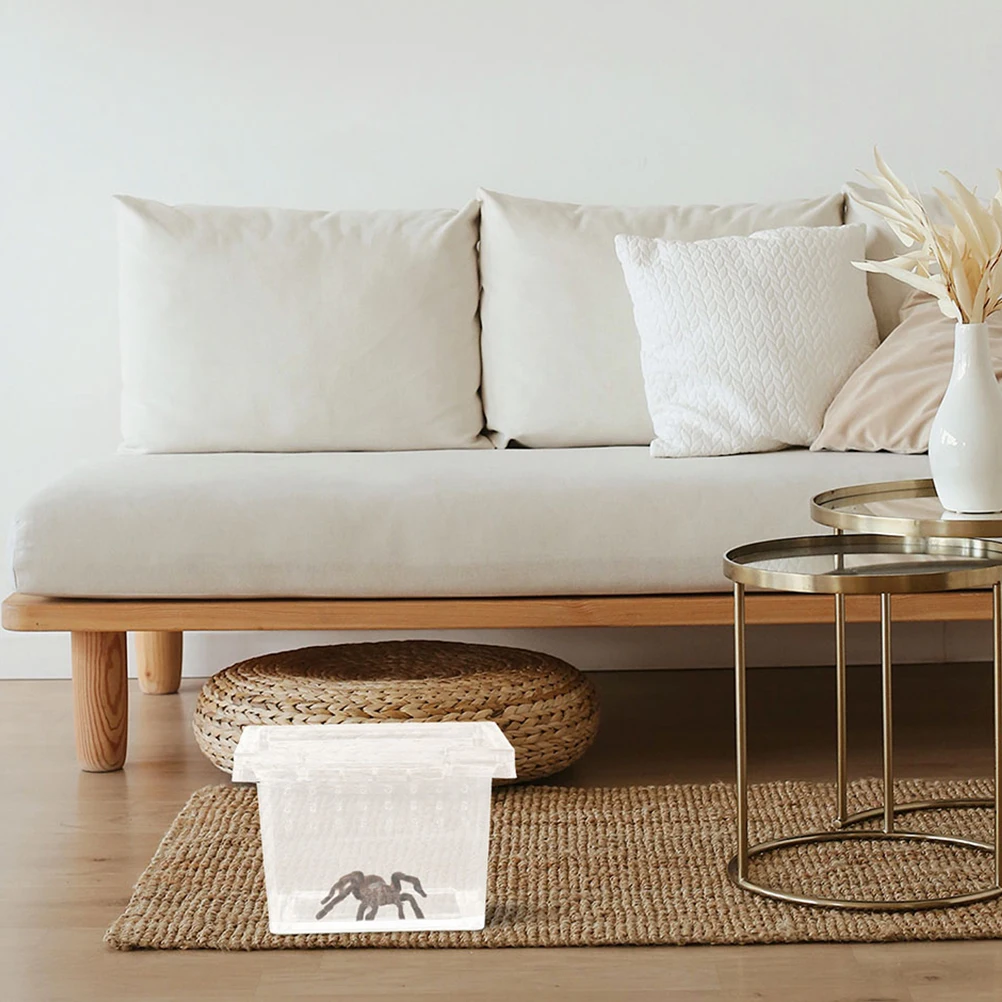 

10pcs Insect Feeding Box Transparent Reptile Habitat For Spider Lizard Gecko Snail Breeding Durable Ventilated Feed Bin