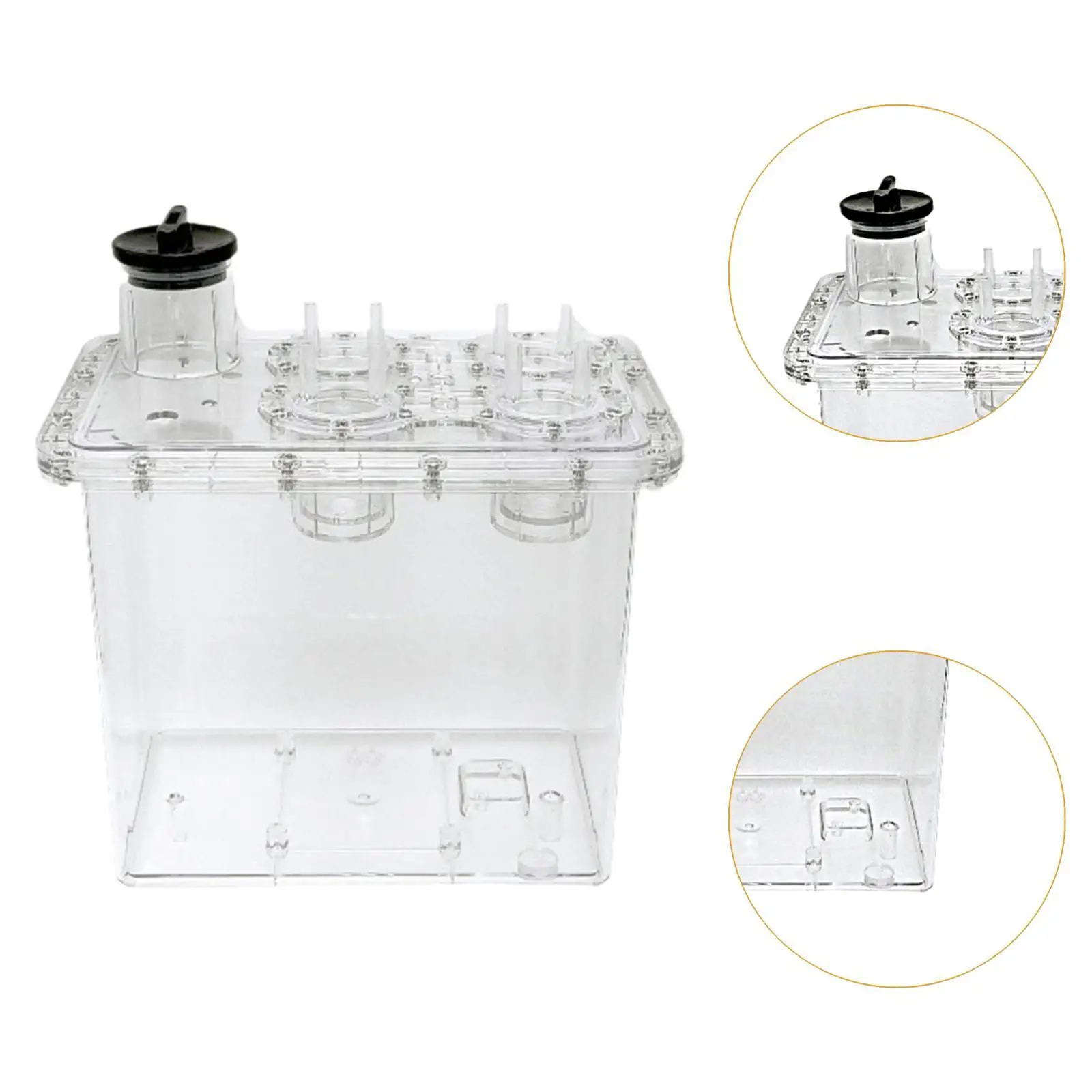 ガス水分離一体型水タンク 丈夫なプロフェッショナル 実用的 3L