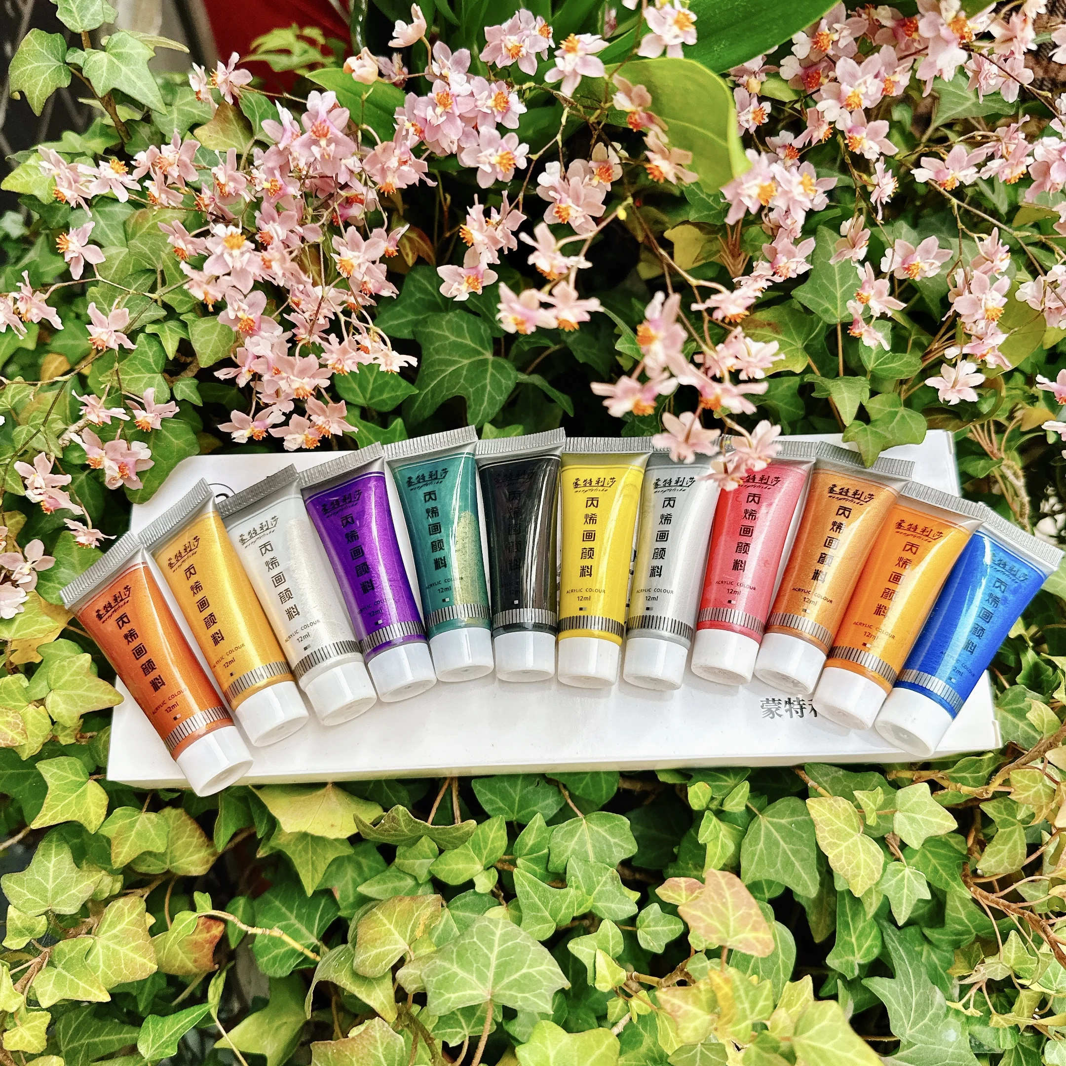 مجموعة أصباغ أكريليك بيرليسسينت 12 مللي * 12 لونًا ألوان أكريليك معدنية دهانات يدوية ذهبية طلاء فضي مقاوم للماء