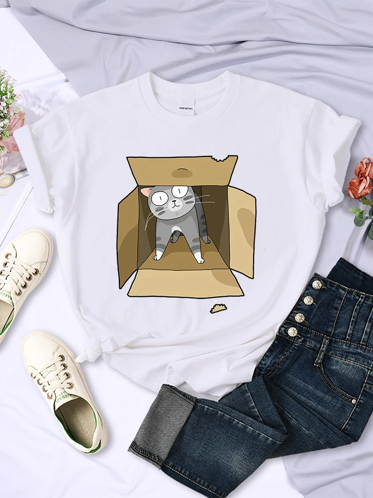 Cats Hiding In Cartons T Shirt Women Summer Crewneck Oversize Tshirt Korean Fashion Funny Crop Top Streetwear Hip Hop Clothes