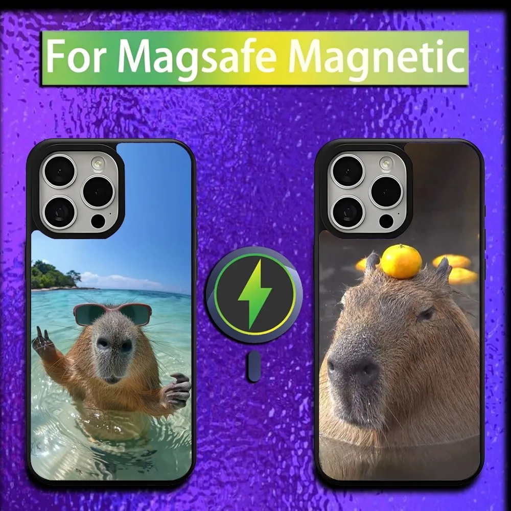 

Cute Pet Capybara Phone Case For iPhone 16,15,14,13,12,11,Plus,Pro,Max,Mini Magsafe Magnetic Wireless Charging