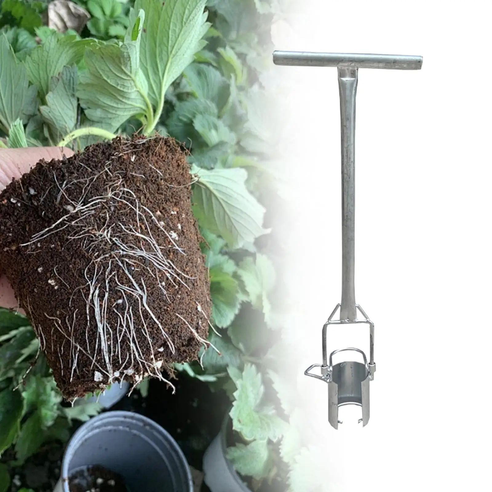 Long Handled Bulb Planter Lawn and Garden Tool Stainless Steel Manual Seedling Transplanter for Transplanting Digging Planting