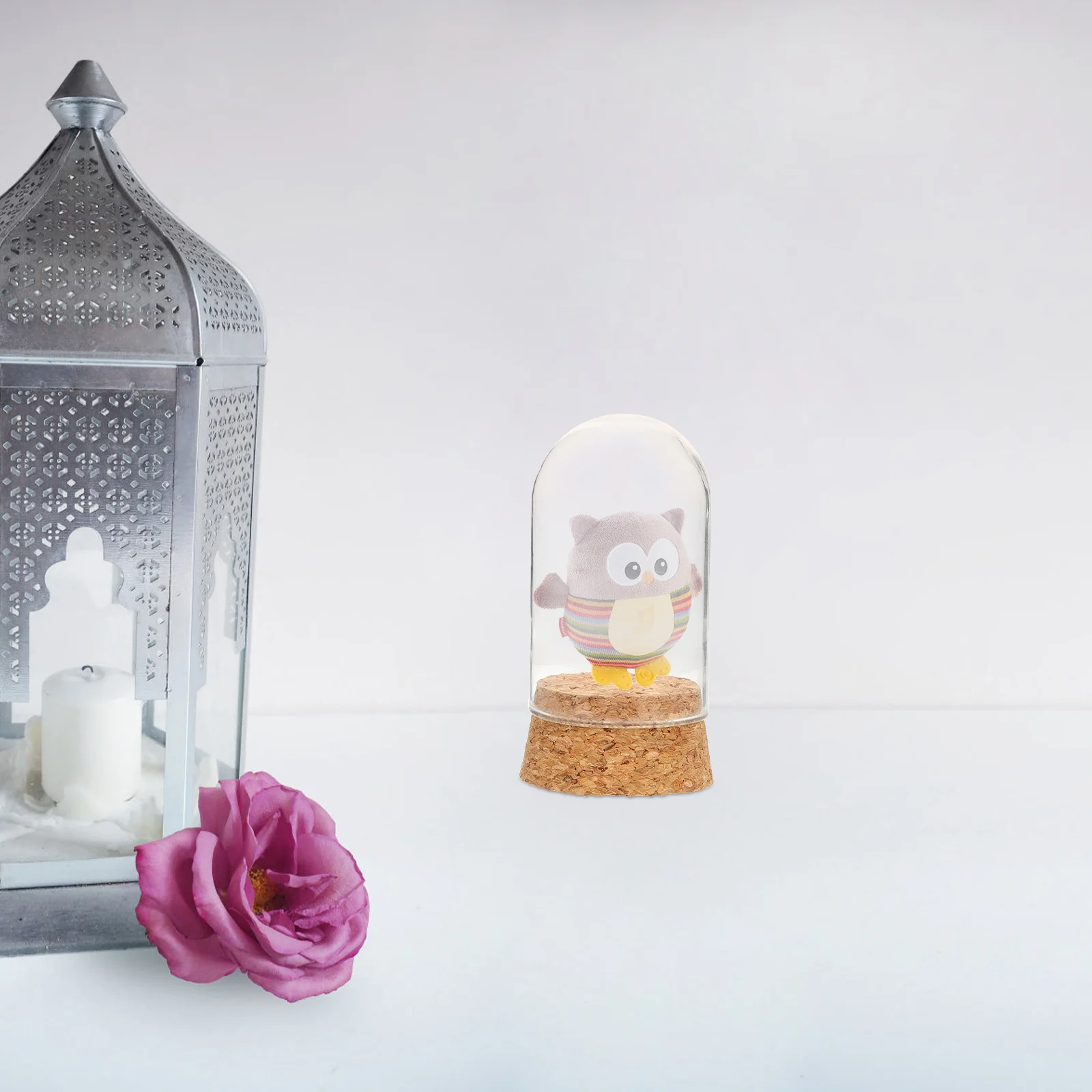 

Collectibles Display Dome Glass Protection Case Countertop Box Transparent Base Storage Model Storage Dome