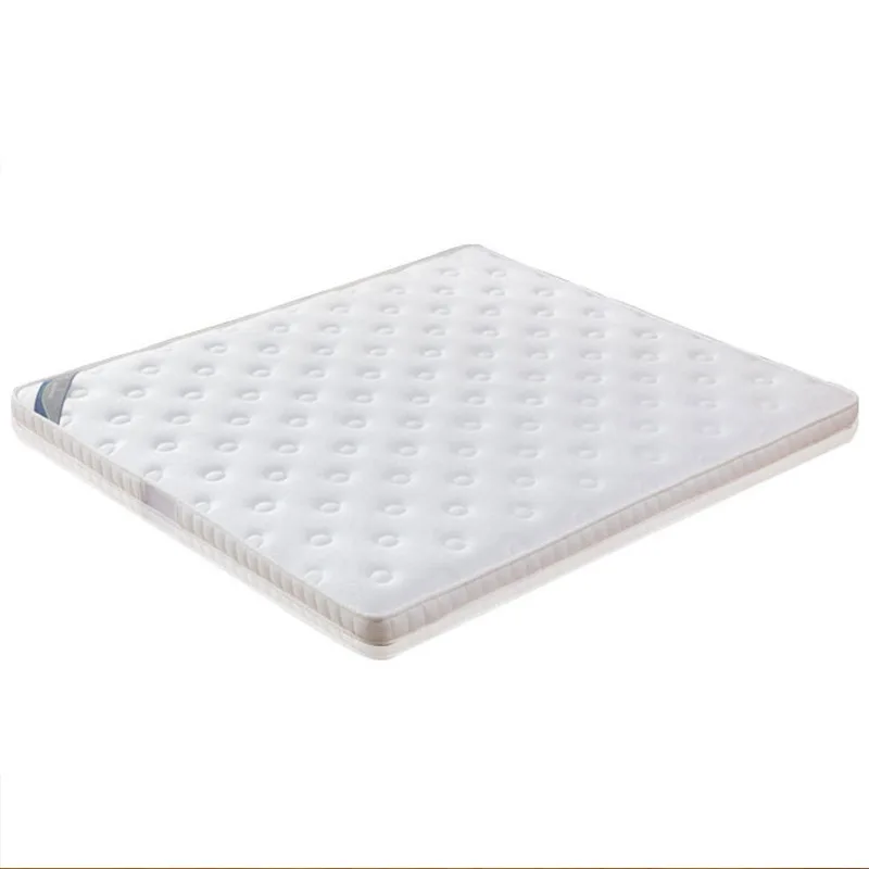 

10CM mattress 1.8m coconut palm mattress household thin 1.5m apartment hotel memory sponge