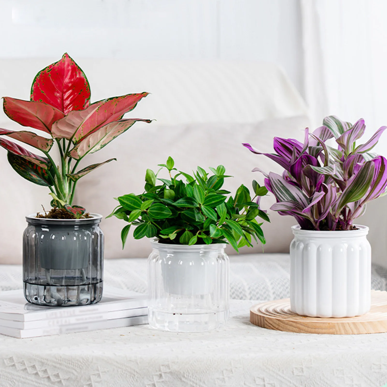 Modern Self-Watering Planters Indoor Translucent Stylish Minimalist Flower Container Home Decor Office Desk Plants Vases Gift