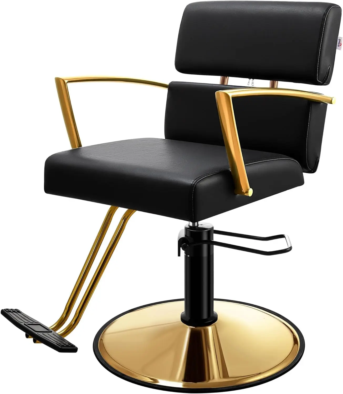 Baasha Salon Chair for Hair Stylist, Gold with Black Leather Salon Chairs, Heavy-Duty Barber Chair Beauty Spa Equipment, Max Loa