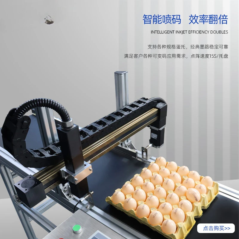 Fully automatic continuous small character egg duck egg spray coding machine with high adhesion