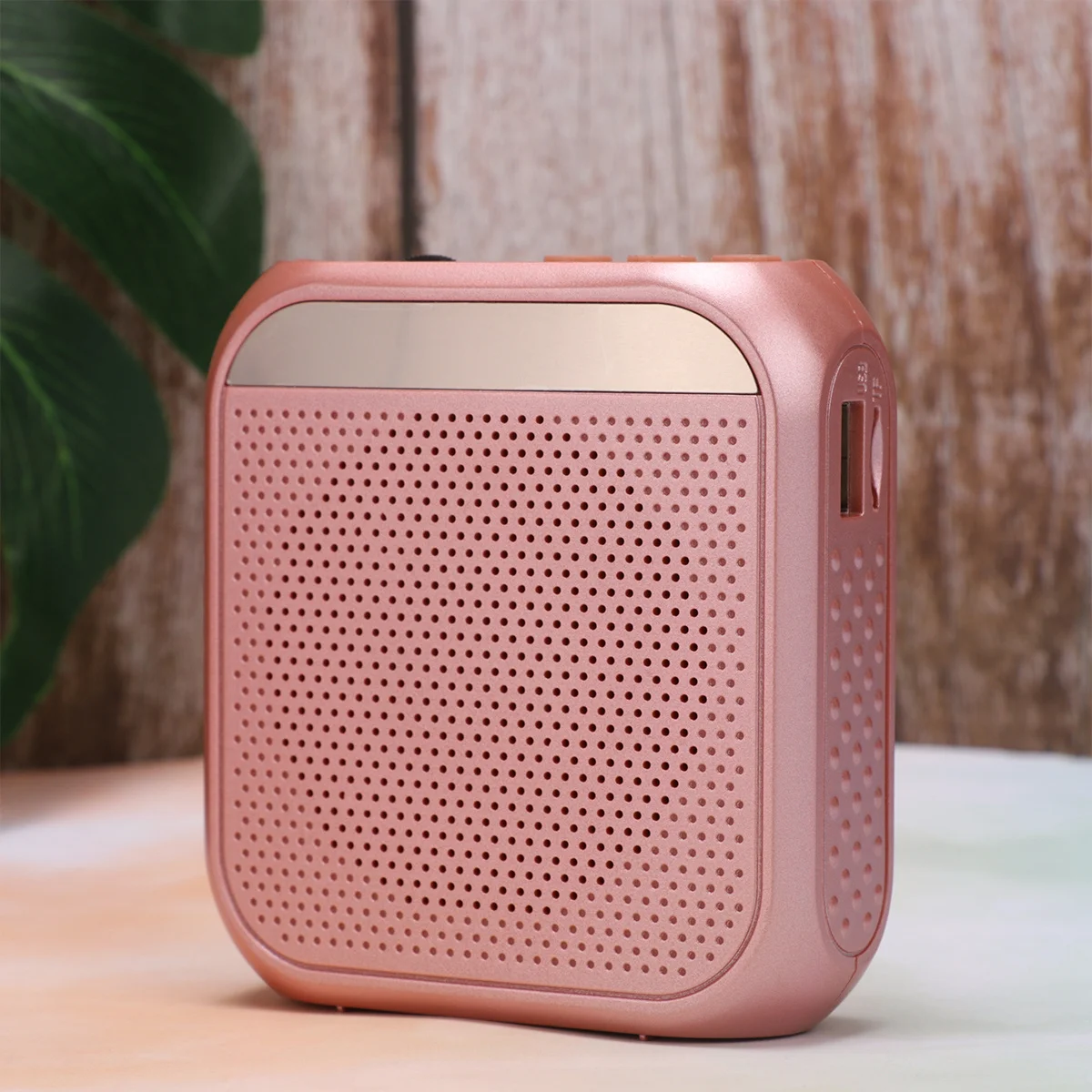 

1Pcs Portable Wireless Voice Amplifier Rose Gold Clear Sound Amplify for Teaching Speech Meeting Microphone Voice Loud Speaker