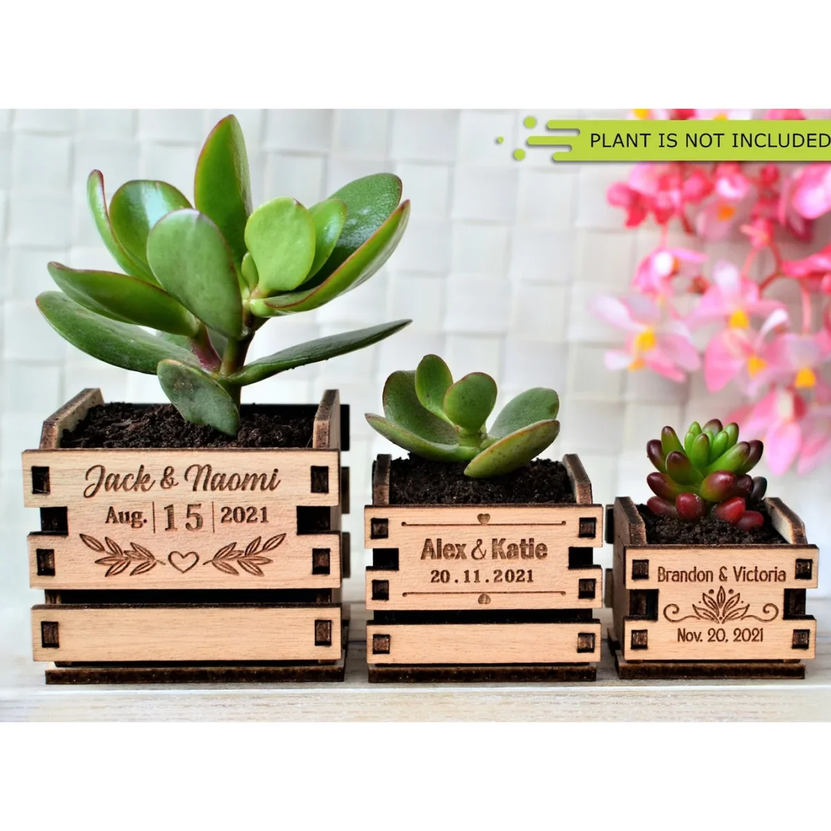 

Personalized Mini pot for succulent wedding favors - rustic wedding favors