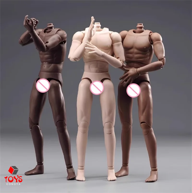 DT001 DT002 DT003 Męski żołnierz w skali 1/6 Super elastyczne ciało z miękkimi rękami i stopami 27 cm Standardowa lalka z mięśniami