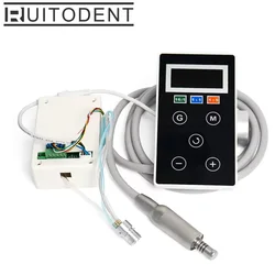 Built In Type Dental Micromotors/ Electric Brushless Dental Micro Motor