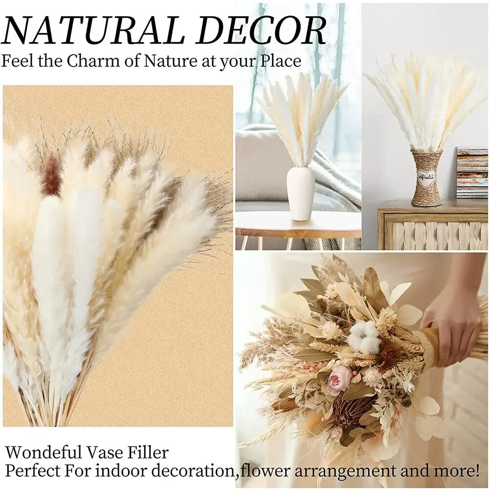 10pcs Fluffy Pampas Grass Reeds Dried Flower Bundle Natural Nordic Ins Home Decoration Arrangements Wedding DIY Photography Prop