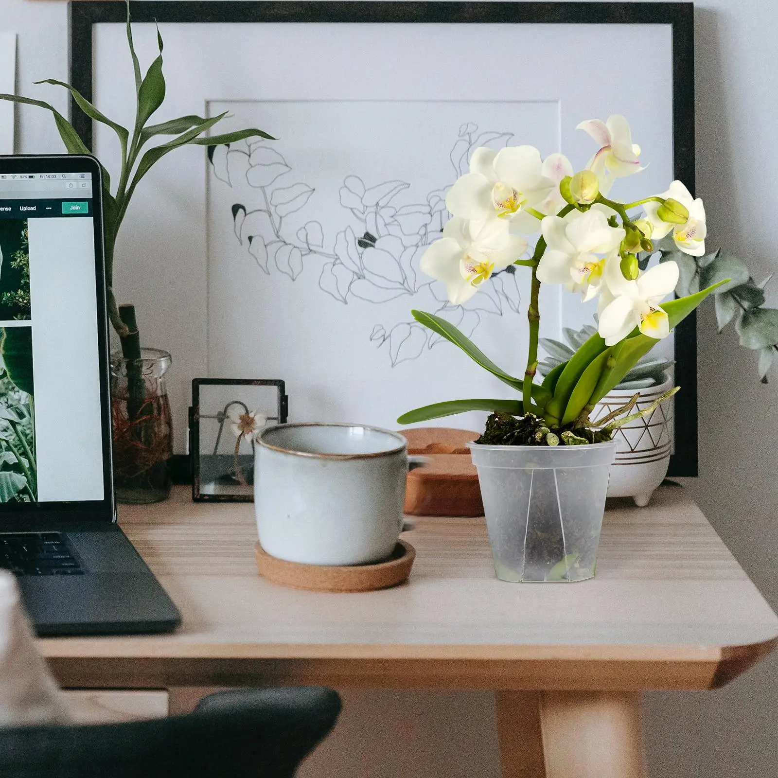 10 Pcs Transparent Rounded Pots 15cm Outer 14cm Inner 13 5cm High Root Control Breathable Flowerpots Suitable