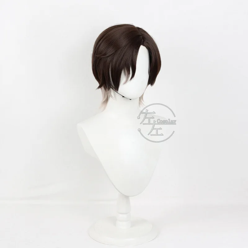 Gioco Honkai Star Rail Mr. Reca Parrucca Cosplay Reca 30CM Capelli corti grigi castani per donna Uomo Accessori per feste di carnevale di Halloween