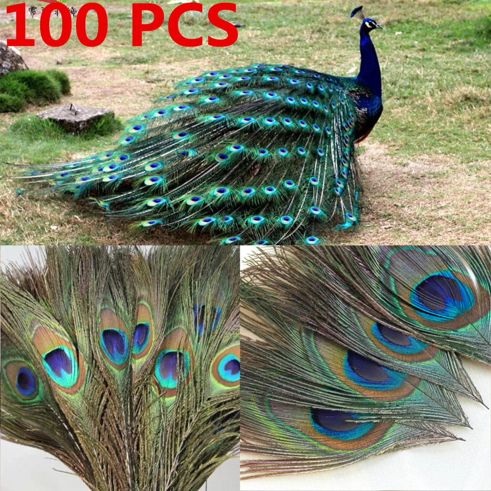 

100pcs 25-30Cm Natural Eye Decorations Craft Art Dress Hats Bridal Costume Party Home Tail For Jewelry Arrangements
