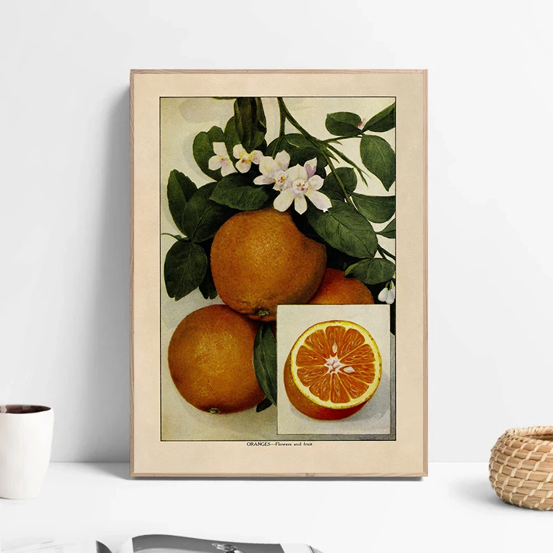 Vintage Fruit Poster Litchi Lemon Pineapple Orange Berries Canvas Printing Prints Wall Art Picture for Living Room Kitchen Decor