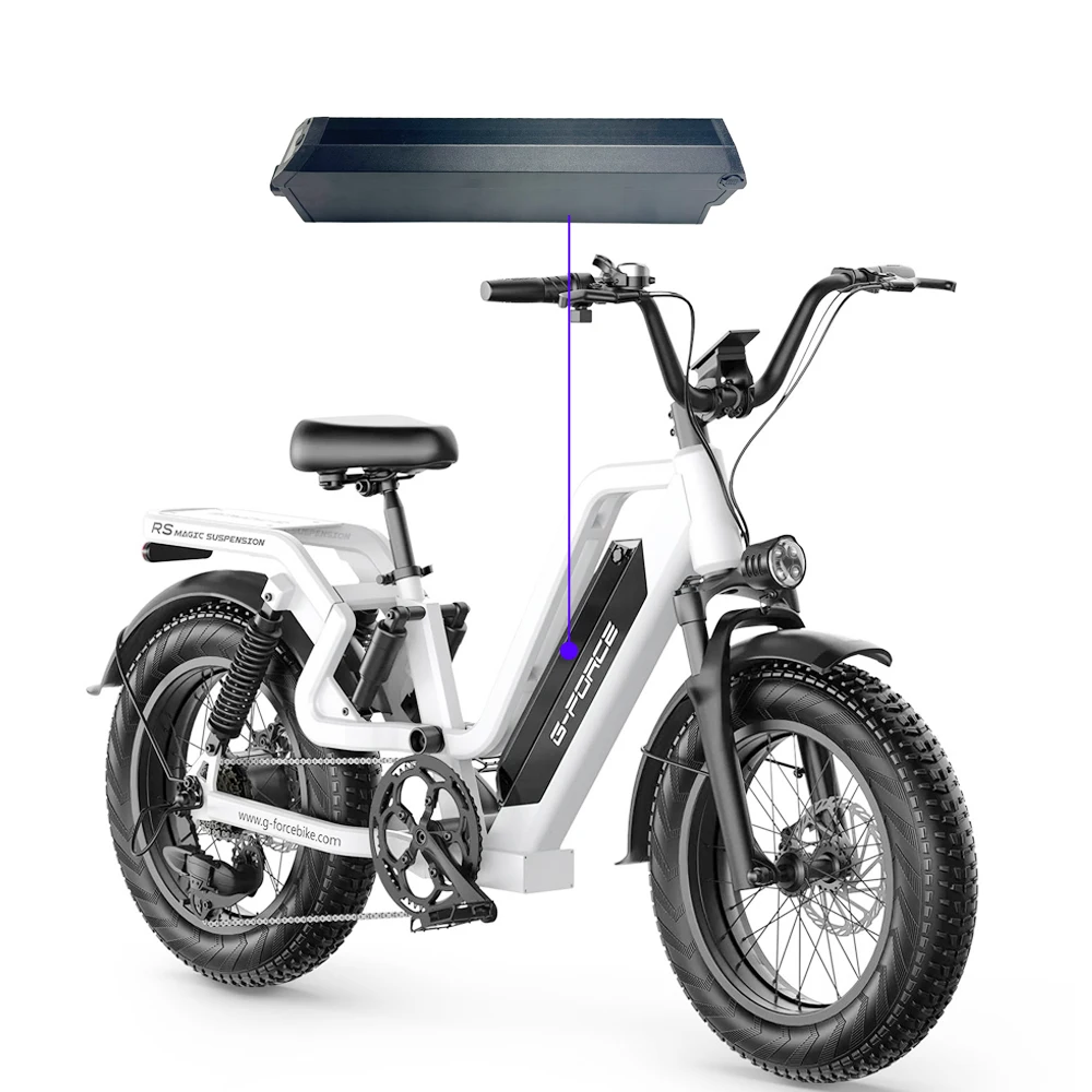 一体型電動自転車リチウムイオンバッテリー,750W, 1000W, 20Ah, 25Ah, 1200Wh, 750W, 1000W