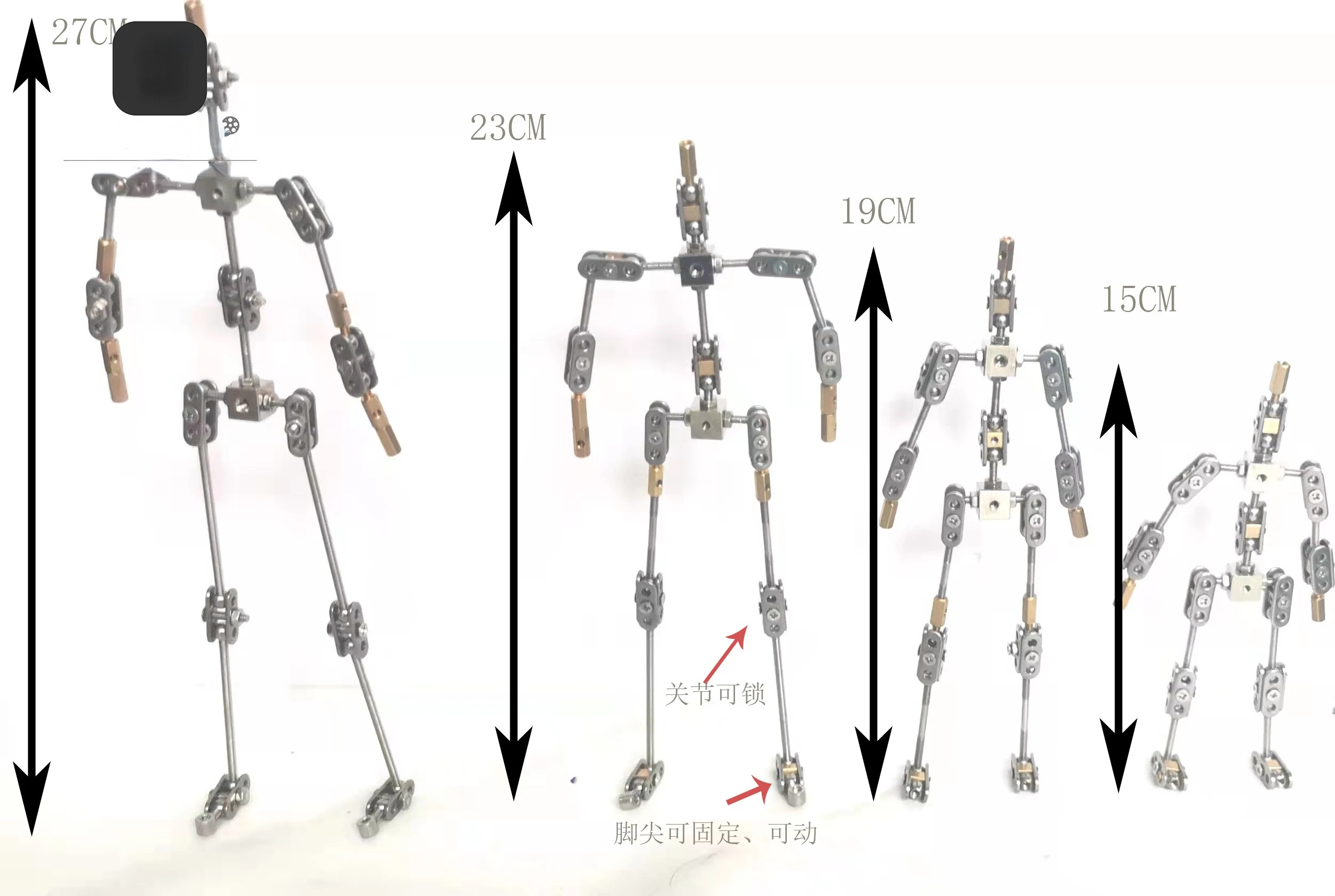 

Freeze frame animation skeleton (stainless steel material)