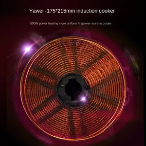 6 Main sales induction stove - №6
