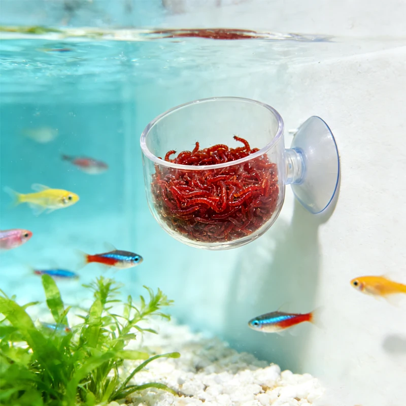Aquarium Decoration Plant Cup Pot Acrylic Fish Tank Aquatic 