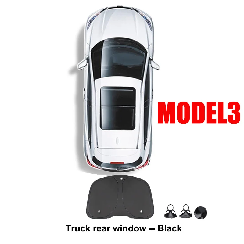 Back Windshield