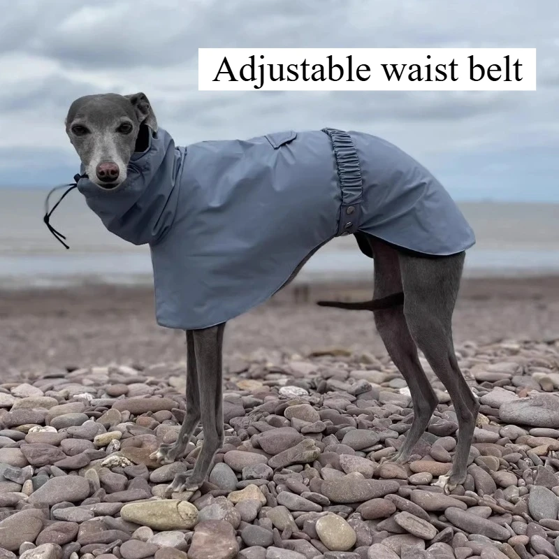 Thumbnail 4 - #23 Latest Waterproof Dog Jackets Offers