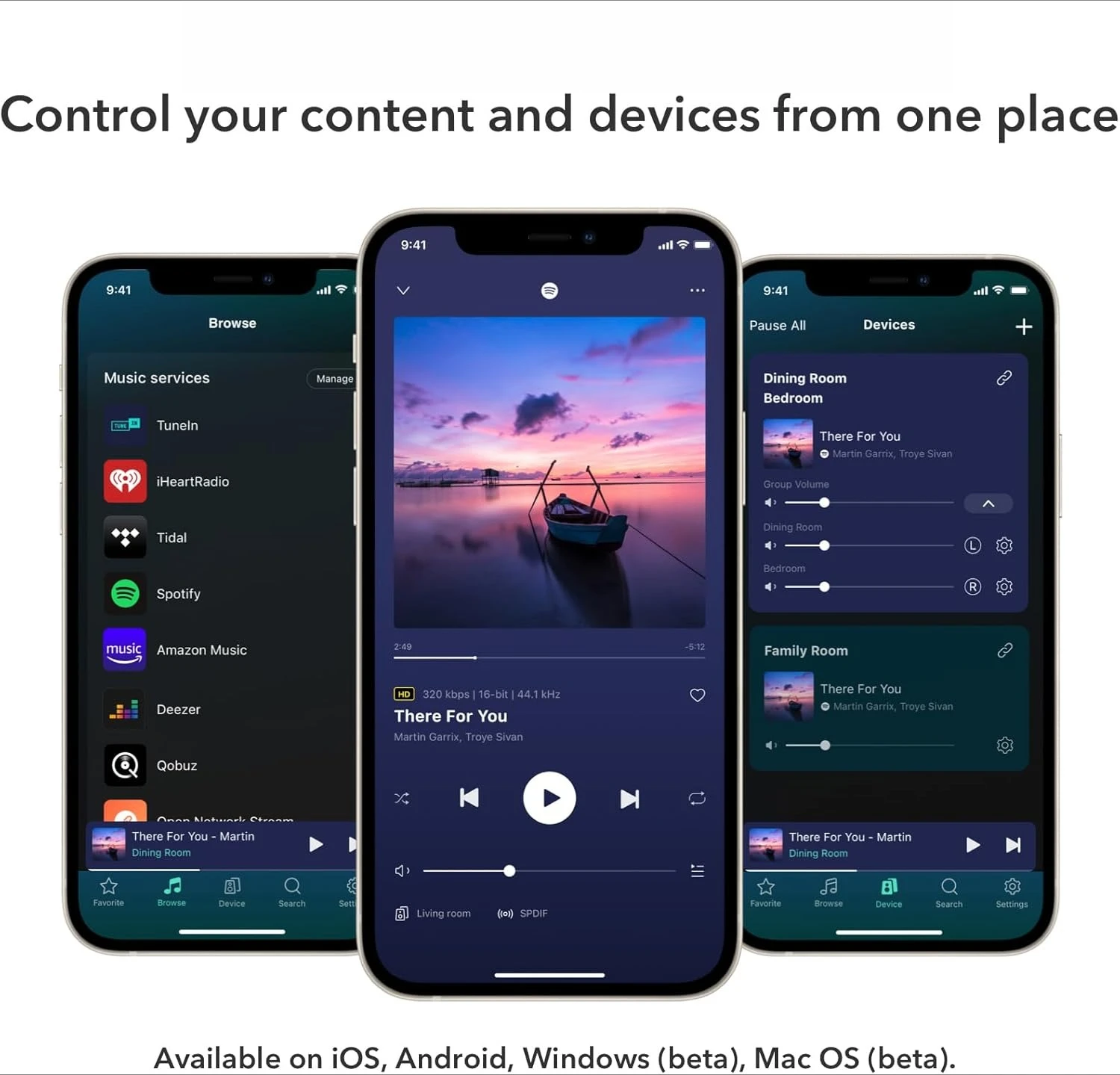 جهاز غاسل متعدد الأغرف مع جهاز تحكم عن بعد صوتي ممتاز AKM DAC، يعمل مع Alexa/Siri/Google، Stream Hi-Res Audio من Spotify، عرض ساخن #6