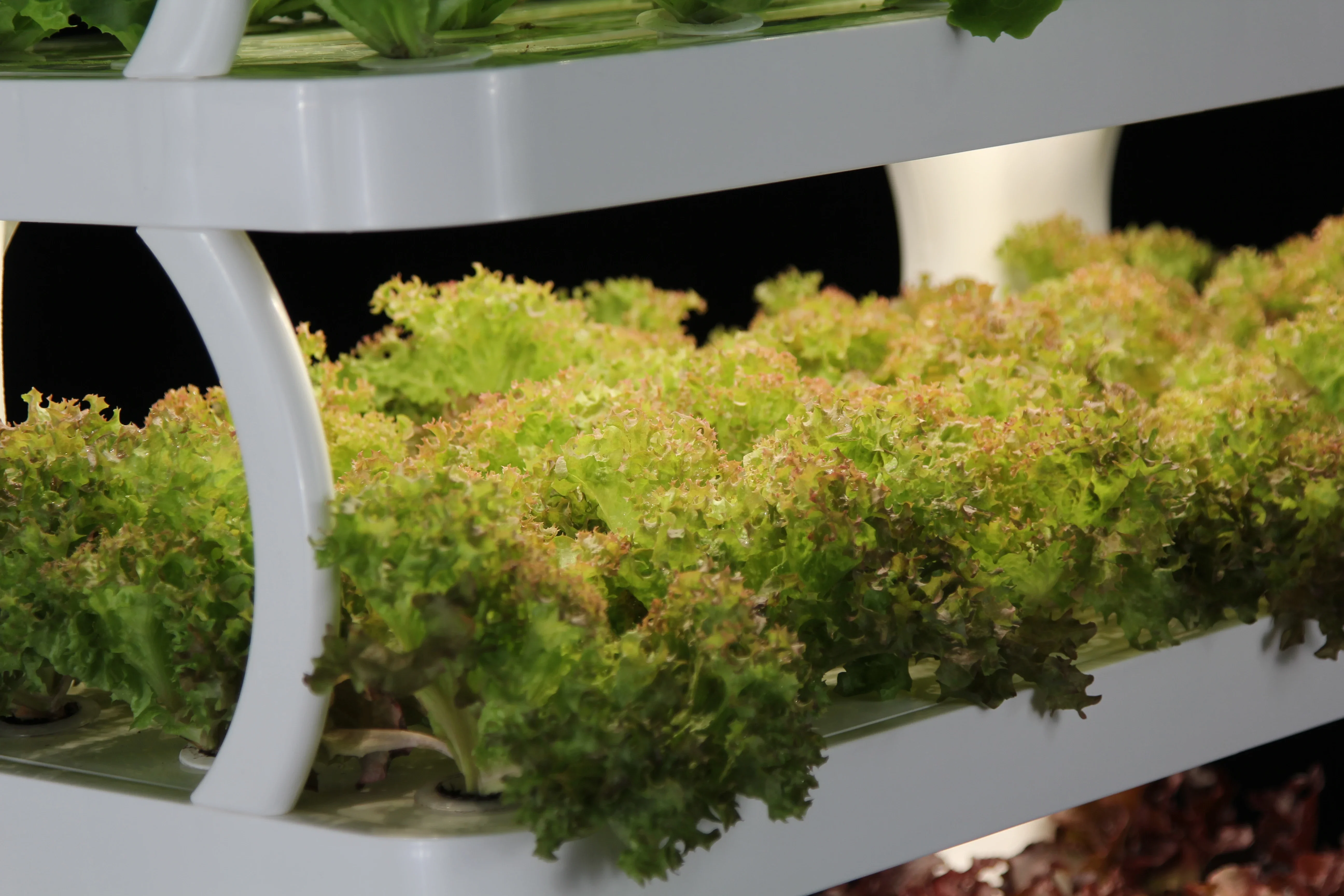 2026 LED Indoor Garden Decorative Hydroponic Portable Vegetable Home Gardens Herb Grow System 24W With Grow Lights