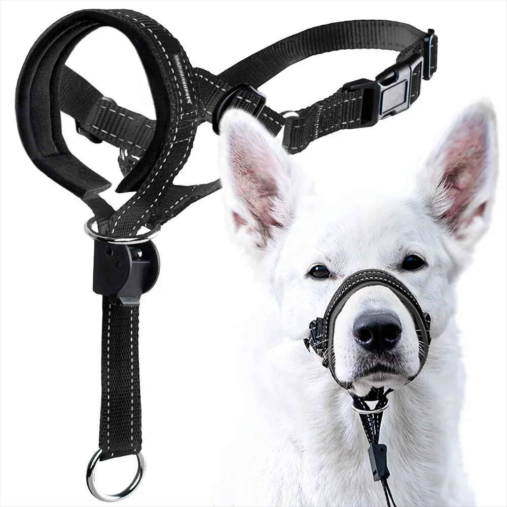 Dog Mouth Muzzles Anti Bark Dog Collar Breathable Dog Training Tool Nylon Muzzle Set With Reflective Strips Summer Pet Leashes