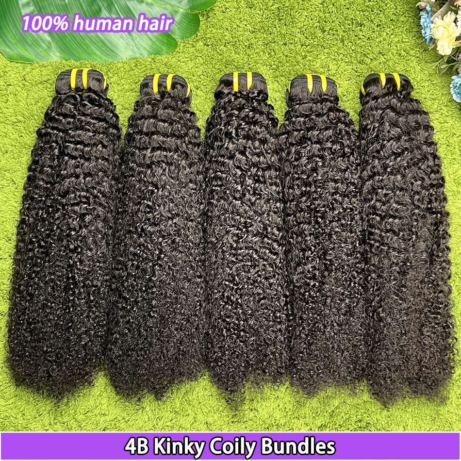 4B Kinky Curly Hair…