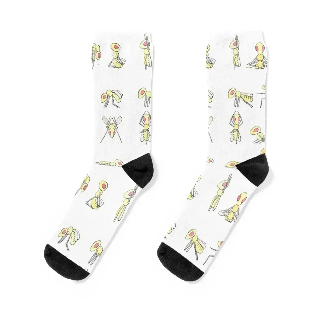 

Fruit flies doing yoga Socks custom with print Wholesale Women Socks Men's