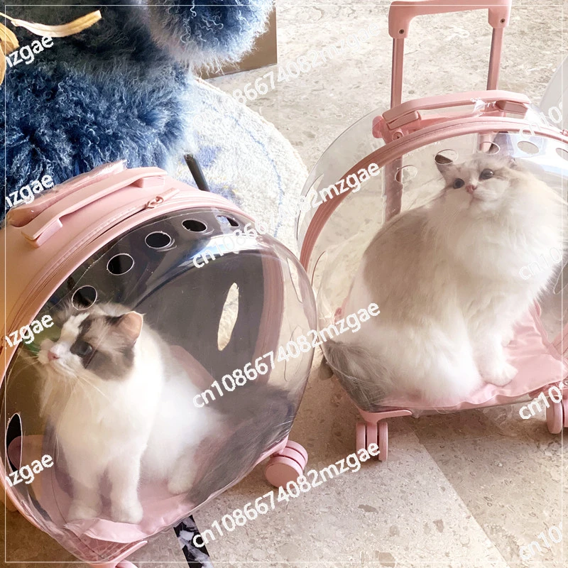 Bubble box Large capacity cat dog going out Portable space capsule Pet backpack Transparent trolley case