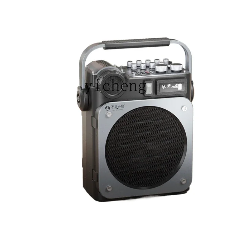 D6 High-Power Live Broadcast Mini Speaker Outdoor KTV Microphone Audio Integrated With Sound CardC10